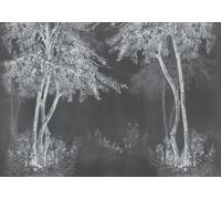 gdkldfg Carta Da Parati Moderna Poster Giungla tropicale Foresta Paesaggio naturale Bianco e nero 400x256cm Wallpaper Seta Carta Parati Decorazioni Parete Camera Da Letto Soggiorno