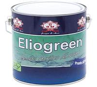 GDM Smalto all'Acqua Lucido, Dekortè (2 Litri, Bianco)