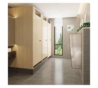 GDMDPTE Divisorio Universale per orinatoio 100/120x40 cm - Telaio in Acciaio Inox con Vetro temperato Traslucido - Protegge la Privacy nei bagni pubblici e privati, Oro