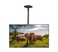GDMDPTE Supporto TV da soffitto, Supporto TV telescopico inclinabile e Girevole, Adatto alla Maggior Parte dei Display LCD LED a Schermo Piatto da 42-70 Pollici, Supporta schermi Fino a 50 kg/110 li