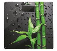 55461 Q.TA' 1 BILANCIA PESAPERSONE ELETTRONICA PW3190