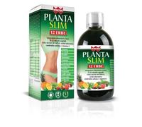 Gdp -General Dietet.Pharma WINTER PLANTA SLIM 12 ERBE 500 ML