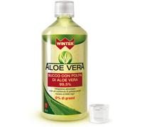 gdp srl-general dietet.pharma Winter aloe vera succo e polpa 1 litro