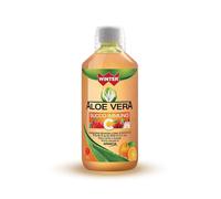 GDP Srl-GENERAL DIETET.PHARMA WINTER ALOE VERA SUCCO IMMUNO 1 LITRO