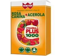 gdp srl Winter Vit C Plus 1000 32compresse