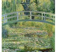 GDSGW DIY 5D Diamond Painting Kit,Pittura Diamante 5d Fai da Te,Crystal Ricamo a Punto Croce Arts Craft Supply per Soggiorno Decorazione da Parete,Claude Monet-Ninfea in Stagno