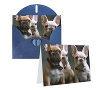 GDSHJKLW Biglietto di auguri bianco con cuccioli di bulldog francese, con buste, 10,2 x 15,2 cm, biglietti di ringraziamento, biglietti per tutte le occasioni, per Natale, vacanze, compleanno, laurea