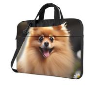 GDSHJKLW Borsa a tracolla per computer portatile da 13 pollici per uomo e donna, borsa messenger impermeabile con cane Pomerania, borsa per laptop con maniglia