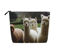 GDSHJKLW Borsa da trucco in lino per donne, organizer da viaggio impermeabile per cosmetici, leggera, con cerniera, organizer per pennelli da trucco in famiglia di alpaca