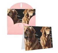 GDSHJKLW Golden Retrievers, biglietto di auguri vuoto con buste, 10,2 x 15,2 cm, biglietti di ringraziamento, biglietti per tutte le occasioni, rosa, per Natale, vacanze, compleanno, laurea