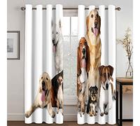 GDYRYD 3D Simpatico Animale Cane Tenda Oscurante Camera Da Letto 2 Pannelli, Tenda Oscurante Con Occhielli Per Interni Soggiorno Cucina Moderne Decorazione Da Finestre L 70 X A 245 cm