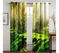GDYRYD Tende Oscuranti Termiche Isolanti Per Interni Stampate In 3D Paesaggio Soleggiato Con Muschio Verde Tenda Camera Da Letto Con Occhielli, Tende Finestre Soggiorno L 125 X A 300 cm 2 Pannel
