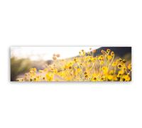 ge Bildet® Bild Auf Leinwand mit Herbst RABATT Asteroideae 2264-B Leinwandbilder Blumen - 140x40 cm - einteilig XXL - direkt vom Hersteller aus Deutschland - Made in Germany