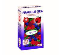 GEA Fragole Concime Biologico per Fragole e Frutti di Bosco