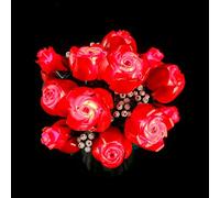 GEAMENT Set di Luci LED Compatibile Con LEGO Bouquet di rose (Bouquet of Roses) - Kit Di Illuminazione per Icons 10328 (Modello di mattoncini non incluso)
