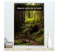 Géants verts de la forêt (Calendrier mural haut de gamme 2027 DIN A2 horizontal), CALVENDO calendrier mensuel: Arbres anciens et forêt tropicale de la côte nord-ouest américaine