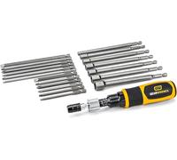 GearWrench 89620 1/4 Pollici Set di Cacciaviti Dinamometrici con Coppia, 20 Pezzi