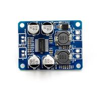 Geavonyg Modulo Amplificatore Potenza Digitale Singolo 60W con Built in Protezioni per Safe A Basse Distorsioni Mono Amplificatore