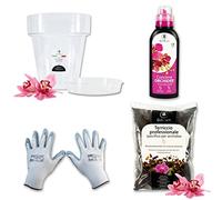 GebEarth® | Kit Rinvaso Orchidee Completo - Vaso Trasparente Ø14 cm con Sottovaso, Terriccio Specifico, Concime Liquido e Guanti.