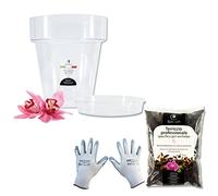 GebEarth® | Kit Rinvaso Orchidee - Vaso Trasparente Ø14 cm con Sottovaso, Terriccio Specifico e Guanti, per Rinvaso Facile.