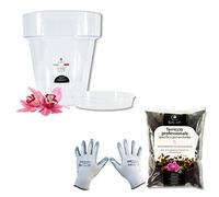 GebEarth® | Kit Rinvaso Orchidee - Vaso Trasparente Ø16 cm con Sottovaso, Terriccio Specifico e Guanti, per Rinvaso Facile.