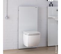 Modulo sanitario Geberit Monolith per WC sospeso, 114 cm, attacco acqua posteriore centrale, con tubo di collegamento, Colorazione: Vetro bianco / alluminio - 131.031.SI.5