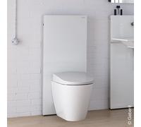 Modulo sanitario Geberit Monolith per WC a colonna, 114 cm, attacco acqua al centro della schiena, con curva di collegamento a P, Colorazione: Vetro bianco / alluminio - 131.033.Si.5