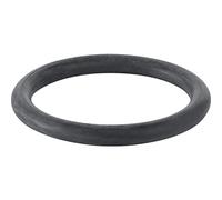 Geberit Ricariche sanitari - Ricambio guarnizione torica Cisterna UP700