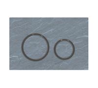 Placca Geberit Sigma50 RouArdesia Mustang / Nero Cromato Doppio Tasto | 115.6