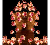 Gebiuhoo - Luci a LED rosa a forma di fate, 1 pezzo, 5 m, 50 lampadine LED, luci decorative a LED a forma di fate rosa con motivo a ciliegio, 8 modalità di illuminazione, design a fiore per