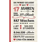 Geburtstag Geschenk 17 Jahre: Schönes Notizbuch A5 liniert ein Geburtstagsgeschenk für Mädchen zum 17. Geb die Geschenkidee für siebzehn Jährige eine Kleinigkeit zum Jahrestag - Happy Birthday