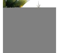 Gecheer Albero di Natale Artificiale a Cerniera con 300 LED, 210 cm, PVC e PE, Ramo Verde Rigoglioso, Look Realistico, per Soggiorni, Giardini o Terrazze