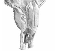Gecheer Teschio di toro Argento 53 x 11 x 40 cm Alluminio1