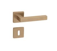 Gedotec Maniglia per porta in ottone spazzolato | 1 set | set di rosette su rosette rettangolari | KARAT | BB - serratura | maniglia per porta interna | set di maniglie con materiale di fissaggio |