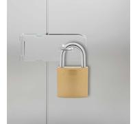 GeenYuu Lucchetto a U con chiavi, 12 pezzi, in ottone, ferro, lucchetto per porta, armadietto, garage, giardino, resistente alle intemperie, antiruggine, protezione antifurto, sicurezza