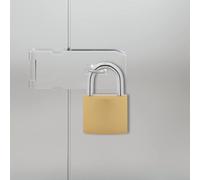 GeenYuu Lucchetto a U con chiavi, 6 pezzi, in ottone, in ferro, resistente alle intemperie, antiruggine, per armadietti, armadi, garage, cancelli con staffa di protezione antifurto, chiusura