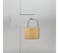 GeenYuu Lucchetto a U in ottone con 6 chiavi, set da 2 pezzi, robusto lucchetto in ferro, resistente alle intemperie, antiruggine, per porta, garage, armadietto, armadietto, giardino, cantina