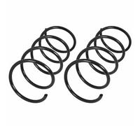 GeenYuu Set di 2 molle del telaio per Mercedes Benz, acciaio 60Si2MnA, lunghezza 435 mm, spessore bobina 12,8 mm, colore nero, ricambio per asse anteriore e asse posteriore, migliora il comfort di