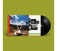 Geese 3D Country (Vinyl LP) 12" Album