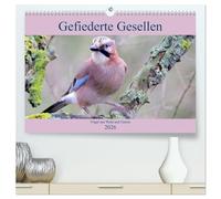 Gefiederte Gesellen - Vögel aus Wald und Garten (hochwertiger Premium Wandkalender 2026 DIN A2 quer), Kunstdruck in Hochglanz: Aus dem Reich der Vögel