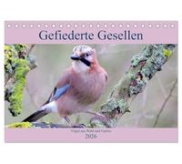 Gefiederte Gesellen - Vögel aus Wald und Garten (Tischkalender 2026 DIN A5 quer), CALVENDO Monatskalender: Aus dem Reich der Vögel