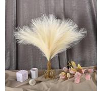 GEFIRE Pampas Verde Artificiale 30 Pezzi Pampas Decorative Alte 55 cm Finti Soffici e Soffici Erba di Pampa Decorativa per Matrimonio Soggiorno Boho Arredamento Casa (Giallo pallido)