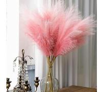 GEFIRE Pampas Verde Artificiale 30 Pezzi Pampas Decorative Alte 55 cm Finti Soffici e Soffici Erba di Pampa Decorativa per Matrimonio Soggiorno Boho Arredamento Casa (Pendenza rosa)