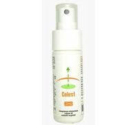 Gefo Nutrition Integratore Colest Spray per il metabolismo dei grassi, 30ml