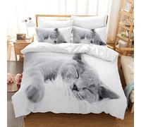 Gegeryozer Set di Biancheria da Letto per Gatti,Copripiumino Gatto 200 x 200 cm per Bambini,1 Copripiumino in Microfibra + 2 Federe da 50×75cm(gatti 1)