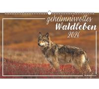 Geheimnisvolles Waldleben 2026 - Bildkalender 49,5x33 cm - Tiere und Pflanzen in unseren heimischen Wäldern - Wandkalender - Wandplaner - Tierkalender