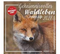 Geheimnisvolles Waldleben 2027: Forest Animals