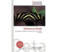 Geitoneura Klugii: Nymphalidae, Lepidoptera, Geitoneura, Insect, Arthropod, Butterfly