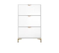 GEK208130 Moderno Scarpiera moderna e semplice da ingresso, design organizer, scarpiera salvaspazio, impermeabile, bianco, Szafka Na Buty, mobili di lusso Organizzatore(75x17x118CM)