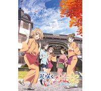 GEKIJOU BAN HANA SAKU IROHA HO